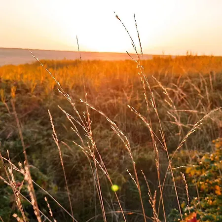 4 Person In Romo-by Traum Rømø Kirkeby