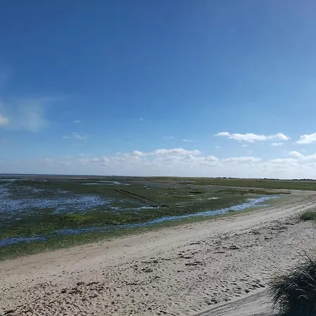 4 Person In Romo-by Traum Daire