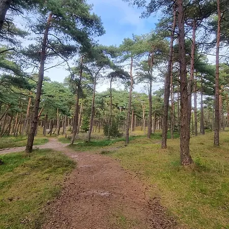 4 Person In Romo-by Traum Daire