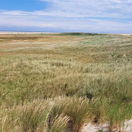 Daire 4 Person In Romo-by Traum